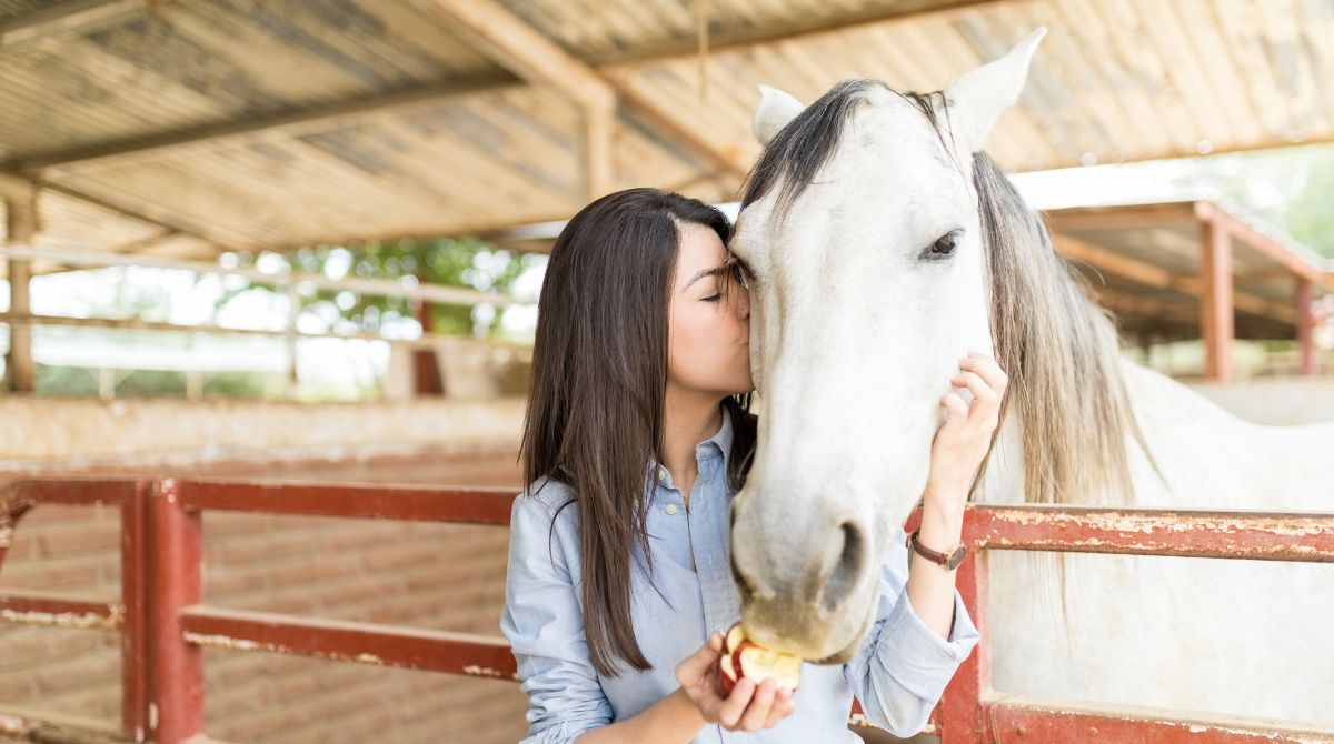 Understanding Your Horse A Guide to Equine Behavior