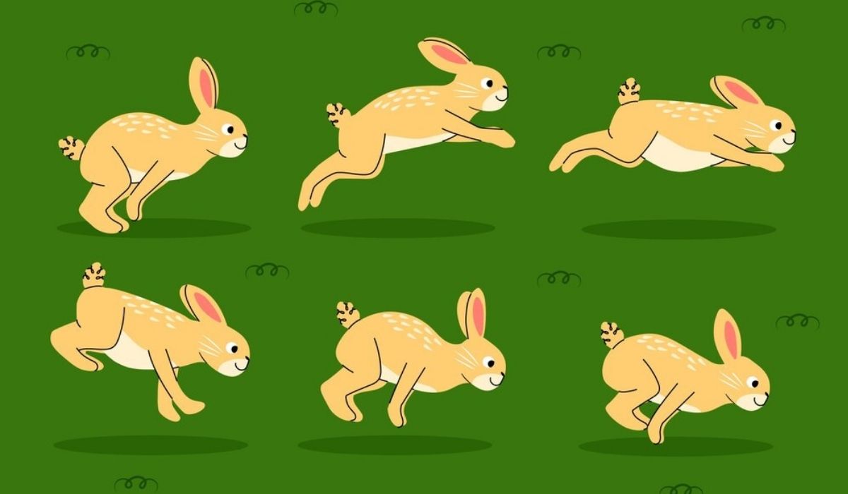 Illustration of a rabbit jumping in different stages on green background.