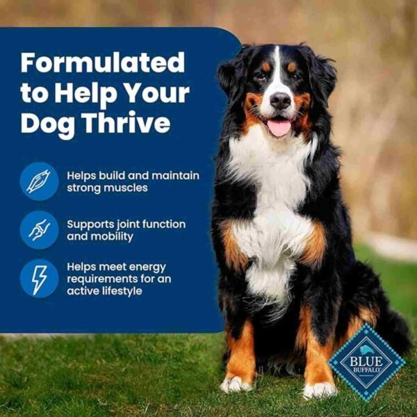 Blue Buffalo Dog Food - Natural Chicken & Brown Rice - Image 2